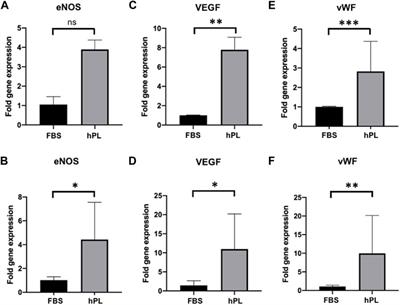 Endothelial Progenitor Cell-Based in vitro Pre-Endothelialization of Human Cell-Derived Biomimetic Regenerative Matrices for Next-Generation Transcatheter Heart Valves Applications